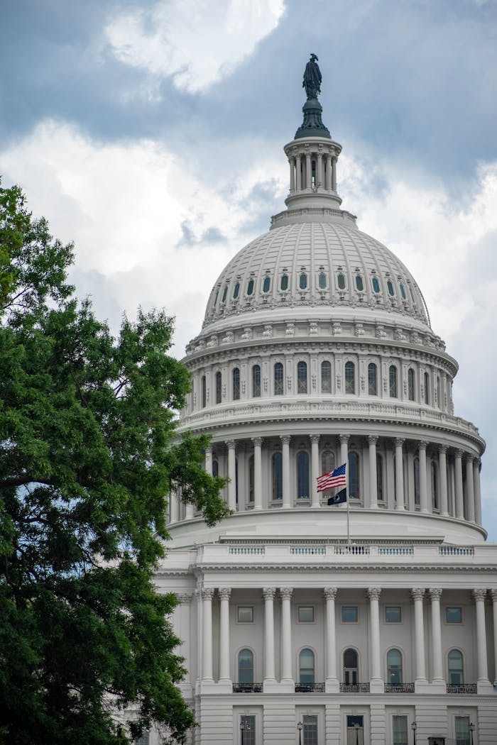 services-03 Stunning daylight view of the iconic US Capitol Building in Washington, D.C.